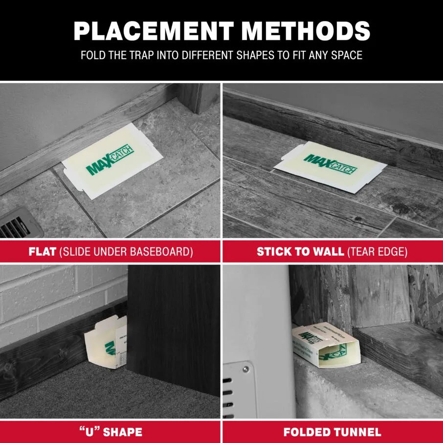 Max Catch Glue Board Traps - Unscented Max Catch Glue Board Traps - Unscented