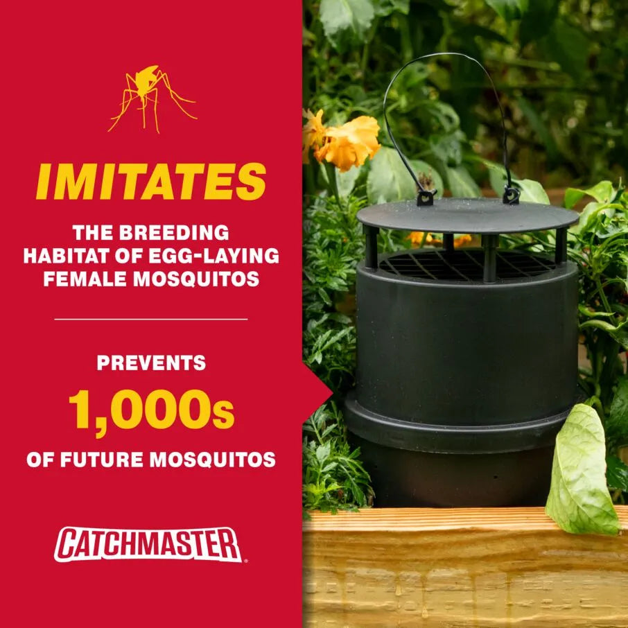 Oasis Ovi-Mini Water Jar and Glue Board Flying Insect Traps Oasis Ovi-Mini Water Jar and Glue Board Flying Insect Traps