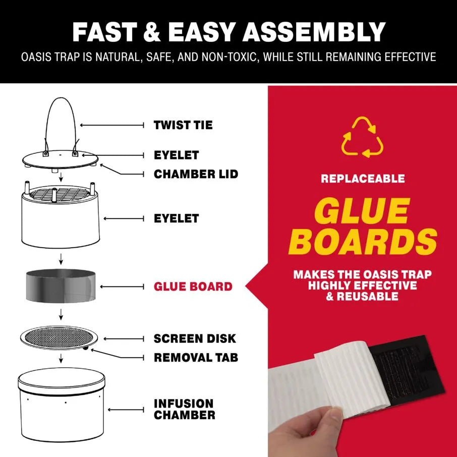 Oasis Ovi-Mini Water Jar and Glue Board Flying Insect Traps Oasis Ovi-Mini Water Jar and Glue Board Flying Insect Traps