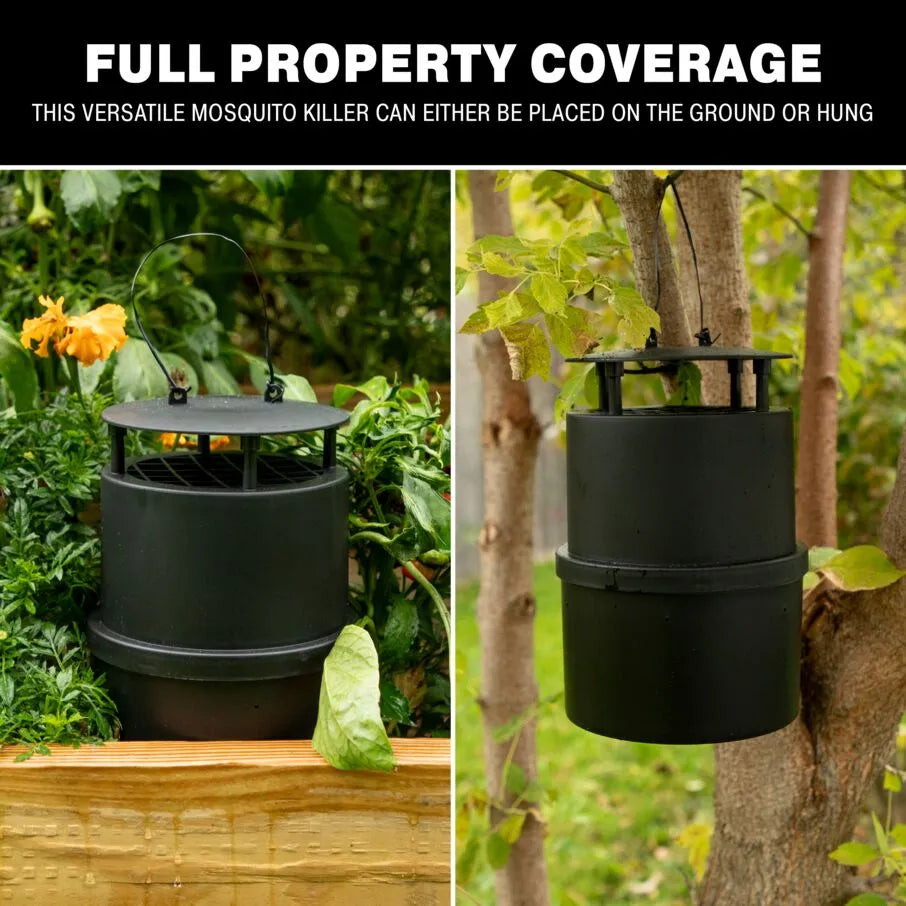 Oasis Ovi-Mini Water Jar and Glue Board Flying Insect Traps Oasis Ovi-Mini Water Jar and Glue Board Flying Insect Traps