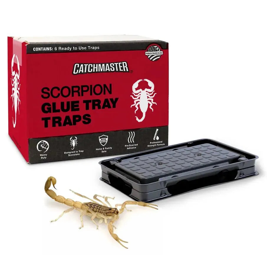 Catchmaster Mouse & Insect Glue Traps, Adhesive Rodent & Bug
