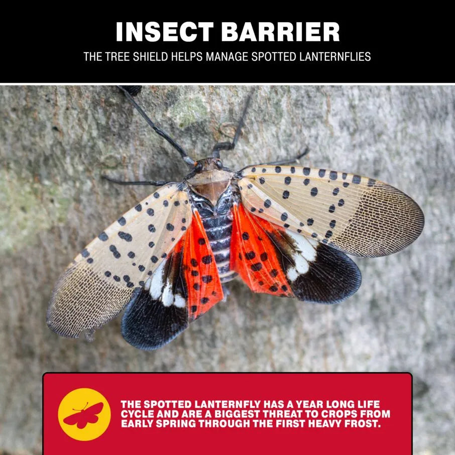 Tree Shield Insect Barrier by Catchmaster Tree Shield Insect Barrier by Catchmaster
