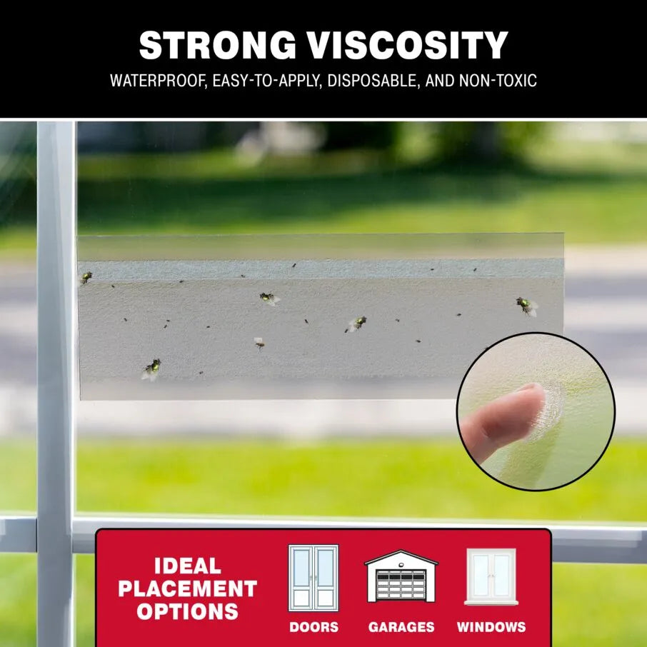 Fly Window Traps Fly Window Traps