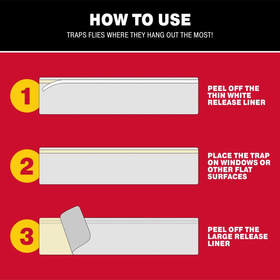 Bug and Fly Clear Window Strip Traps Bug and Fly Clear Window Strip Traps