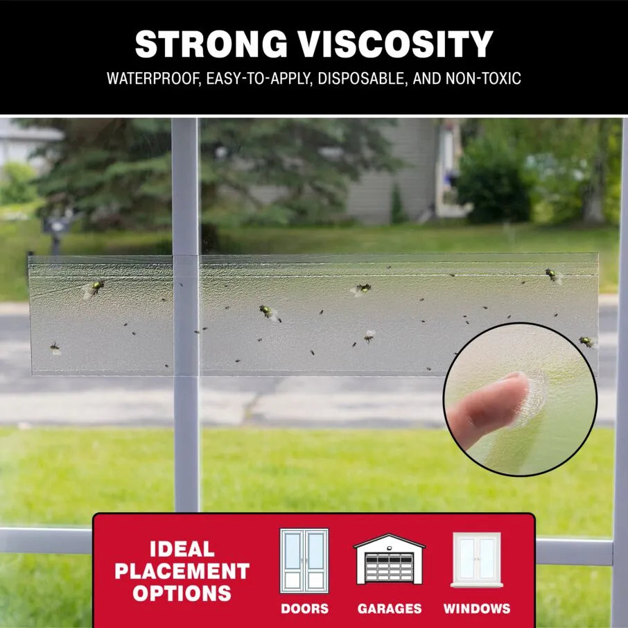 Bug and Fly Clear Window Strip Traps Bug and Fly Clear Window Strip Traps
