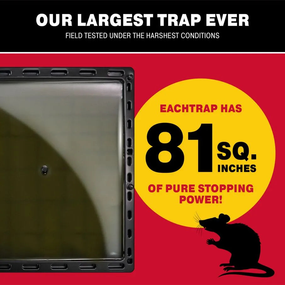 Rat Jumbo Glue Tray Capacity Rat Jumbo Glue Tray Capacity