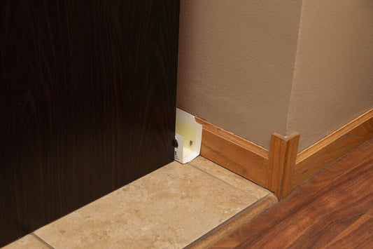 Catchmaster glue trap placed discreetly along a baseboard behind a counter, demonstrating ideal placement for catching mice and pests.