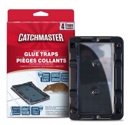 Catchmaster Glue Trap for Mice and Insects, designed to safely and effectively trap pests in and around your home or business.