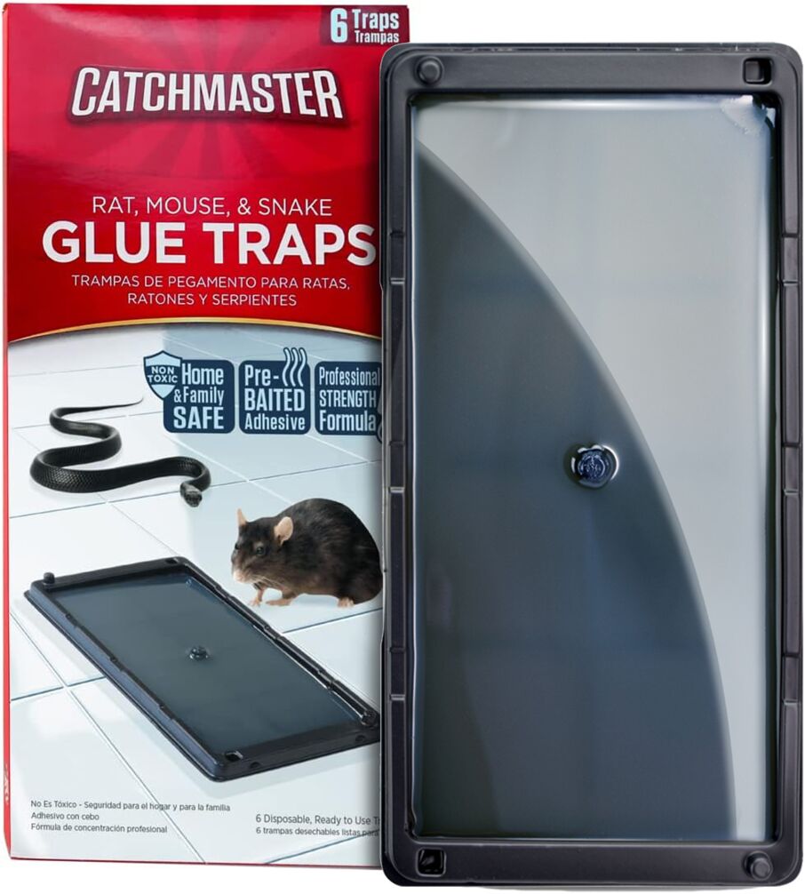 Best Outdoor Rat Traps: Protect Your Space From Invaders - Catchmaster