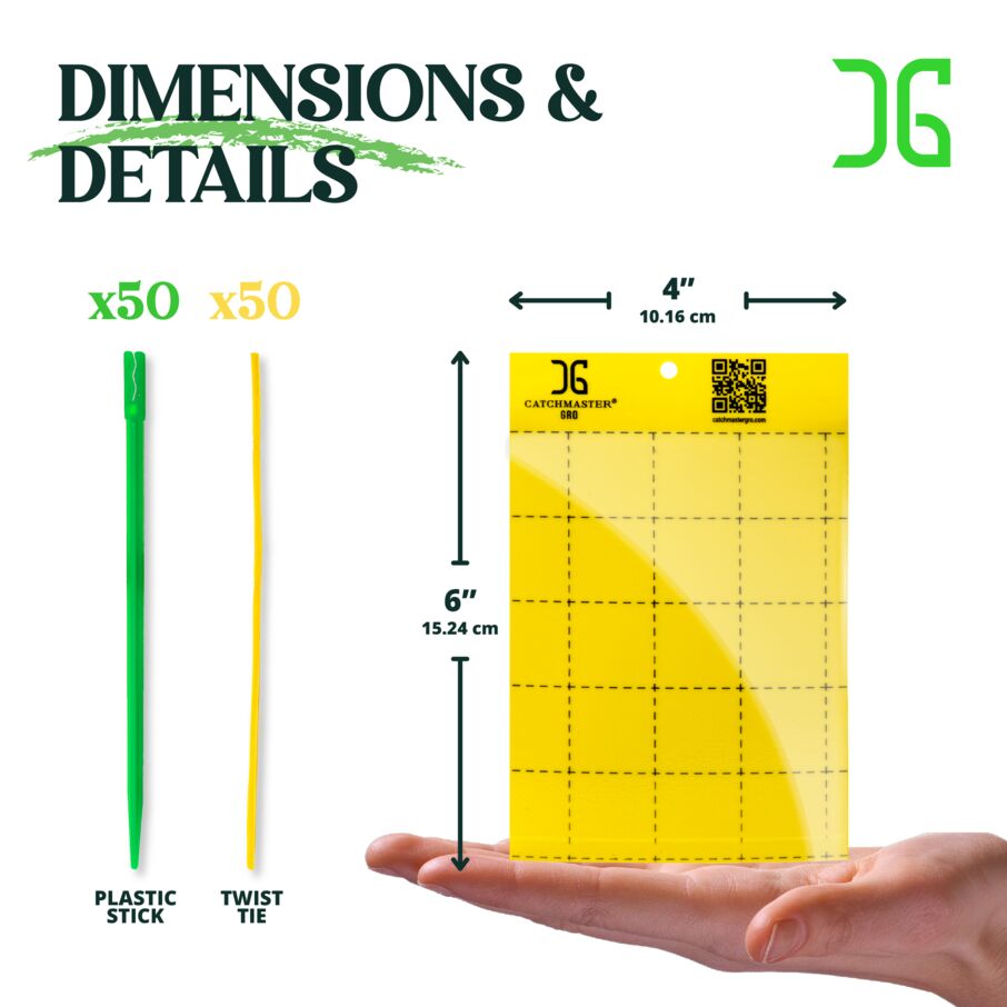 Yellow Sticky Trap - 50 Count