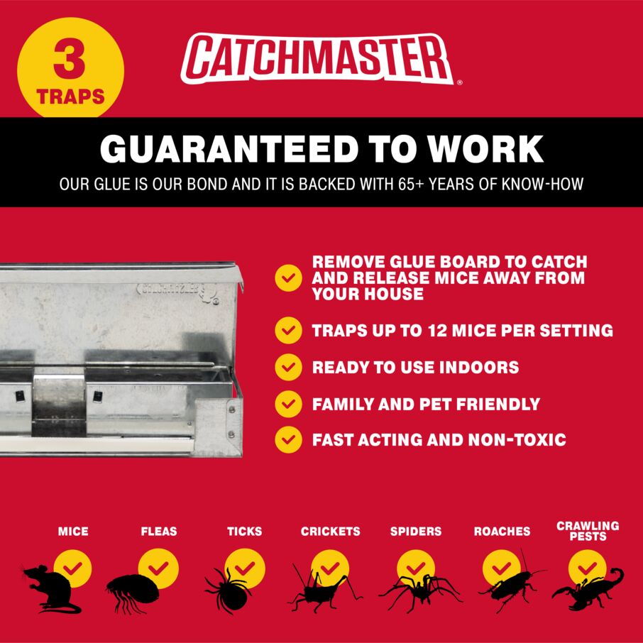 Catchmaster Pro Series Multi-Catch Mini Mouse Trap 6-Pack