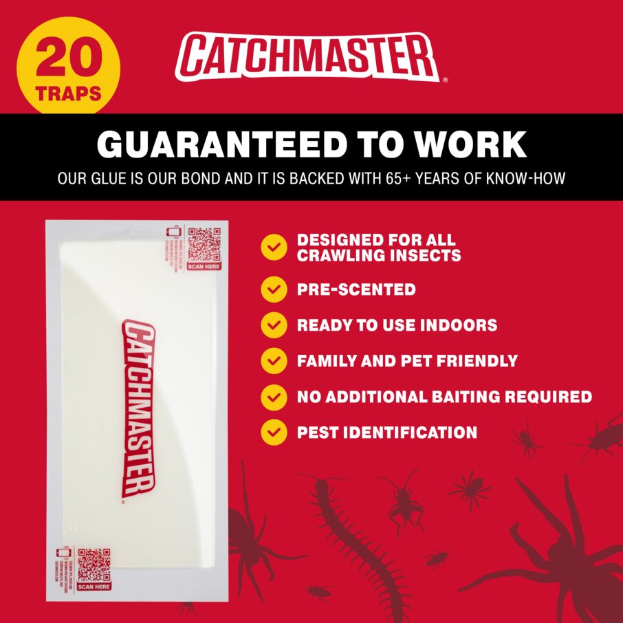 Catchmaster XL Crawling Insect Glue Traps