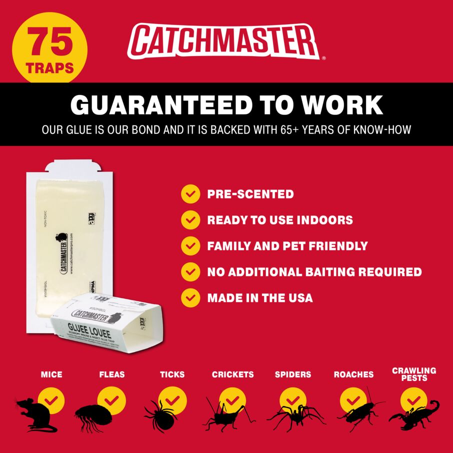 Catchmaster Mouse and Insect Adhesive Glue Boards - 75 Pack