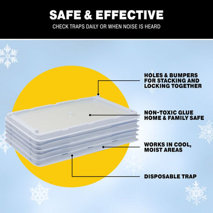 Cold Weather Glue Trays