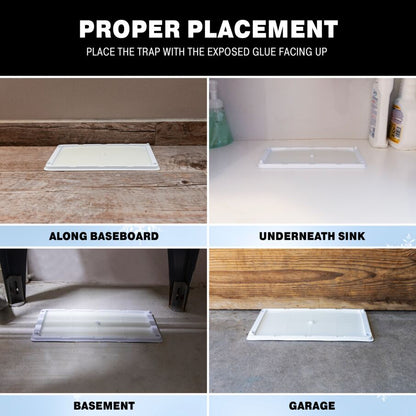 Rodent & Insect Glue Trays for Cold Weather