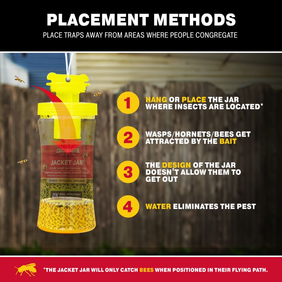 Yellow Jacket Hornet Bee & Wasp Jar Traps