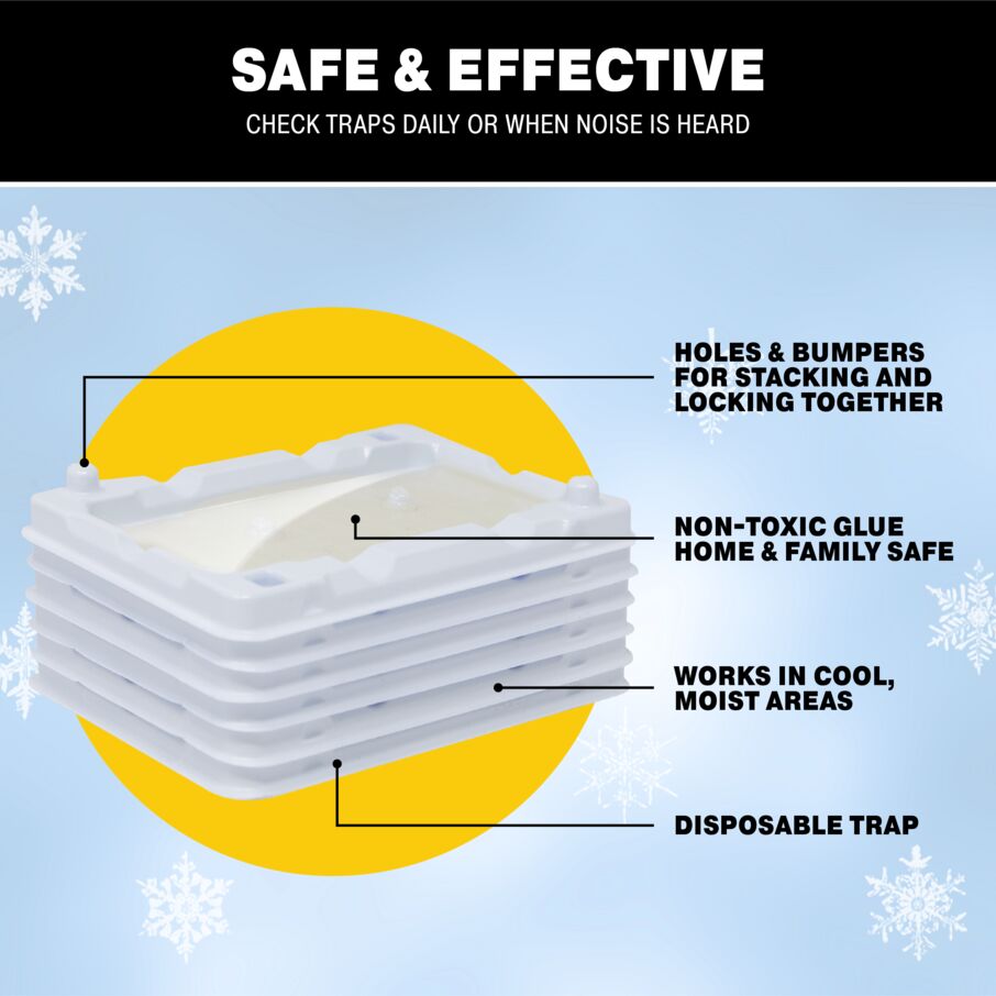 Cold Temperature Mouse, Rodent & Insect Glue Trays