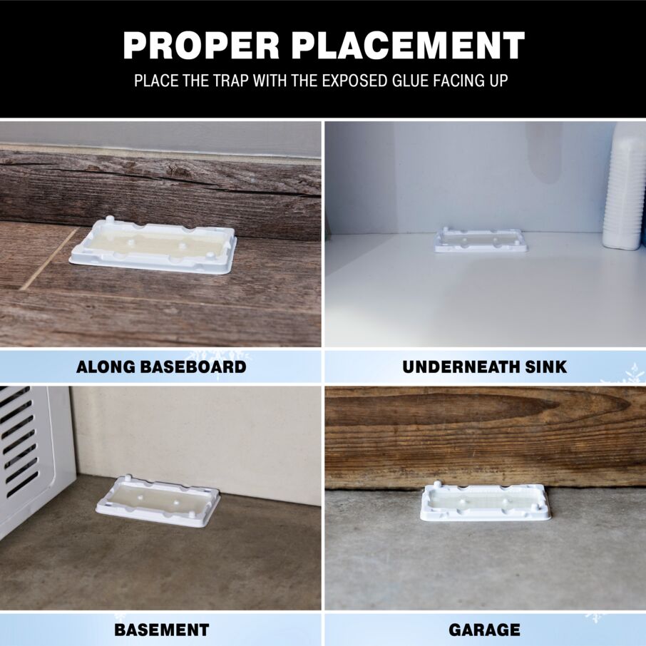 Cold Temperature Mouse, Rodent & Insect Glue Trays