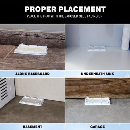 Cold Temperature Mouse, Rodent & Insect Glue Trays