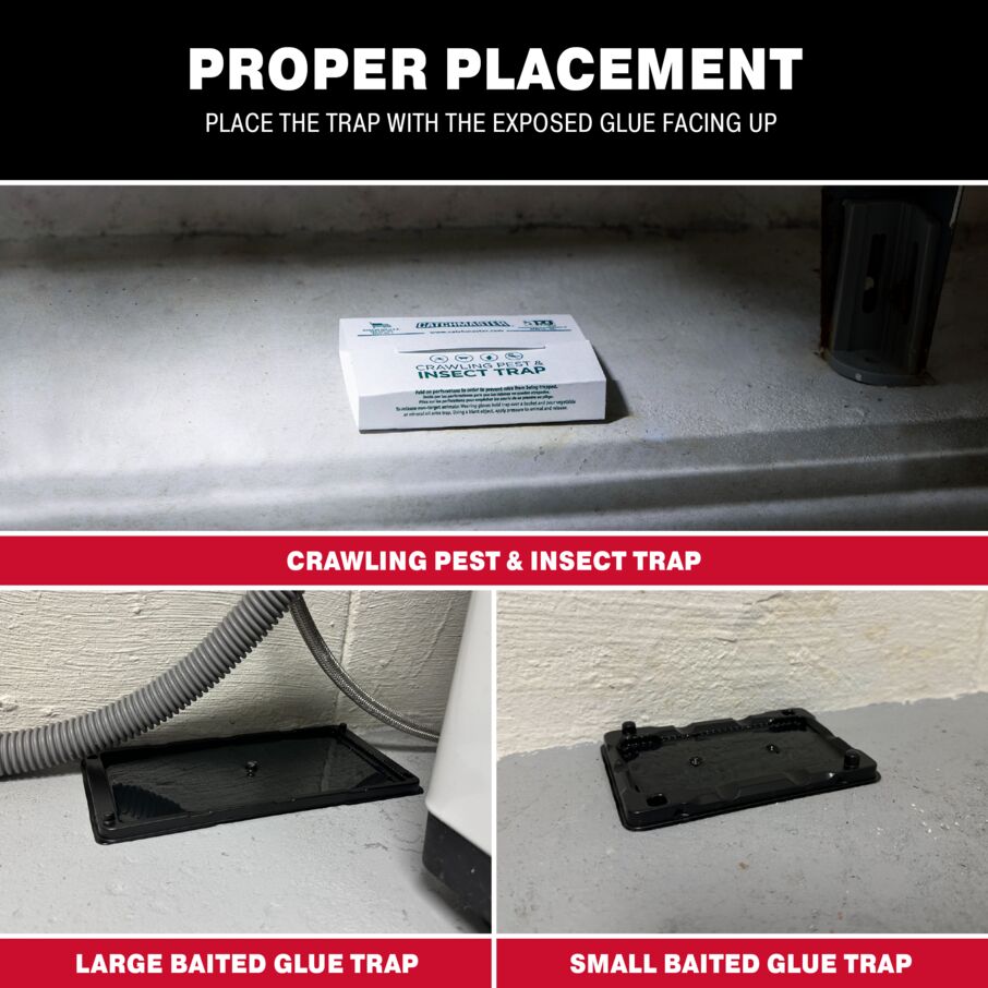 Basement Pest Control Kit with Glue Boards and Trays