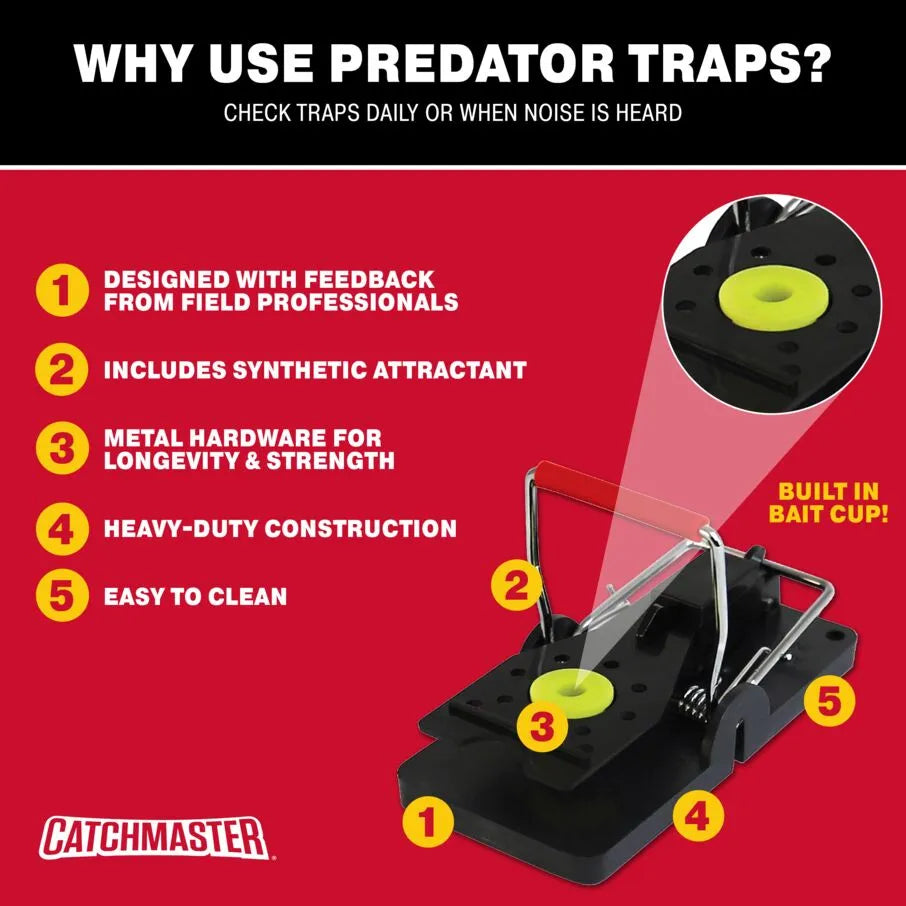 How to set effective mouse snap traps? 3 rules of mouse trapping
