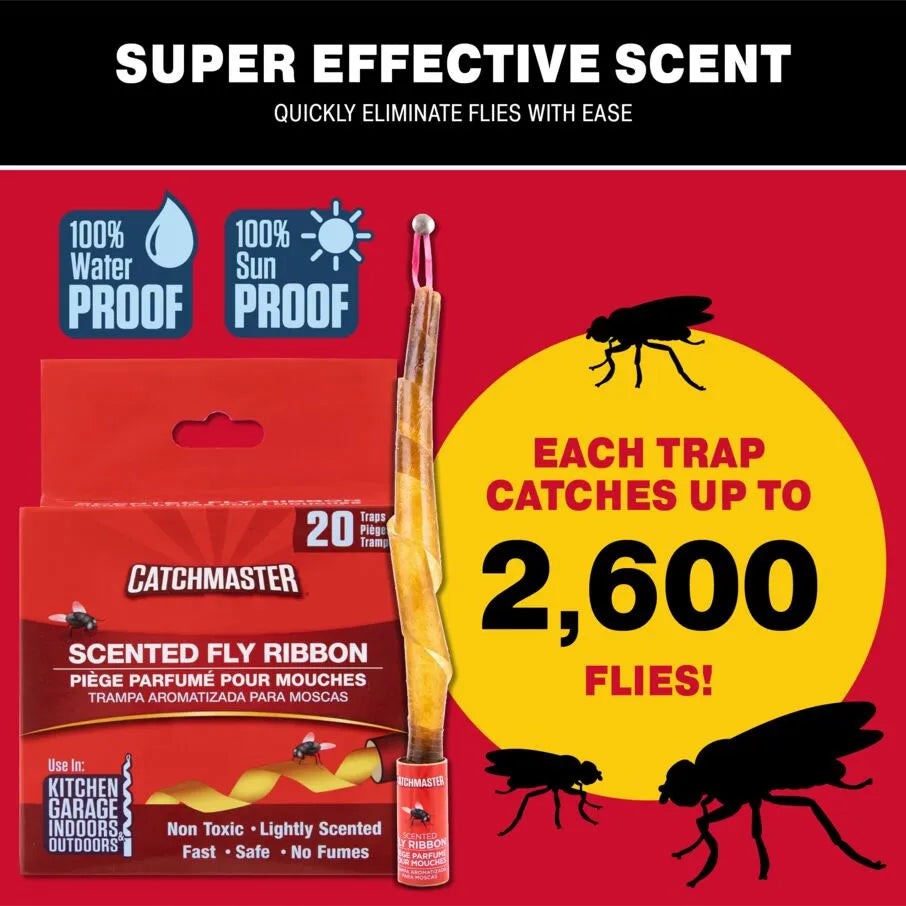 Giant Fly Glue Strip Traps – Catchmaster