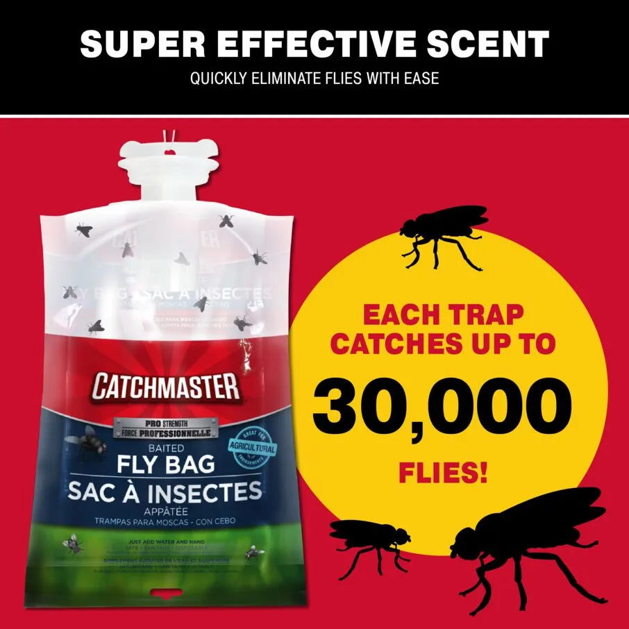 Oasis Ovi-Mini: Water Jar & Glue Mosquito Trap Set – Catchmaster
