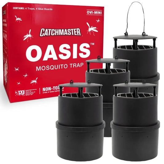 Flying Insects Glue Traps & Board Replacements – Catchmaster