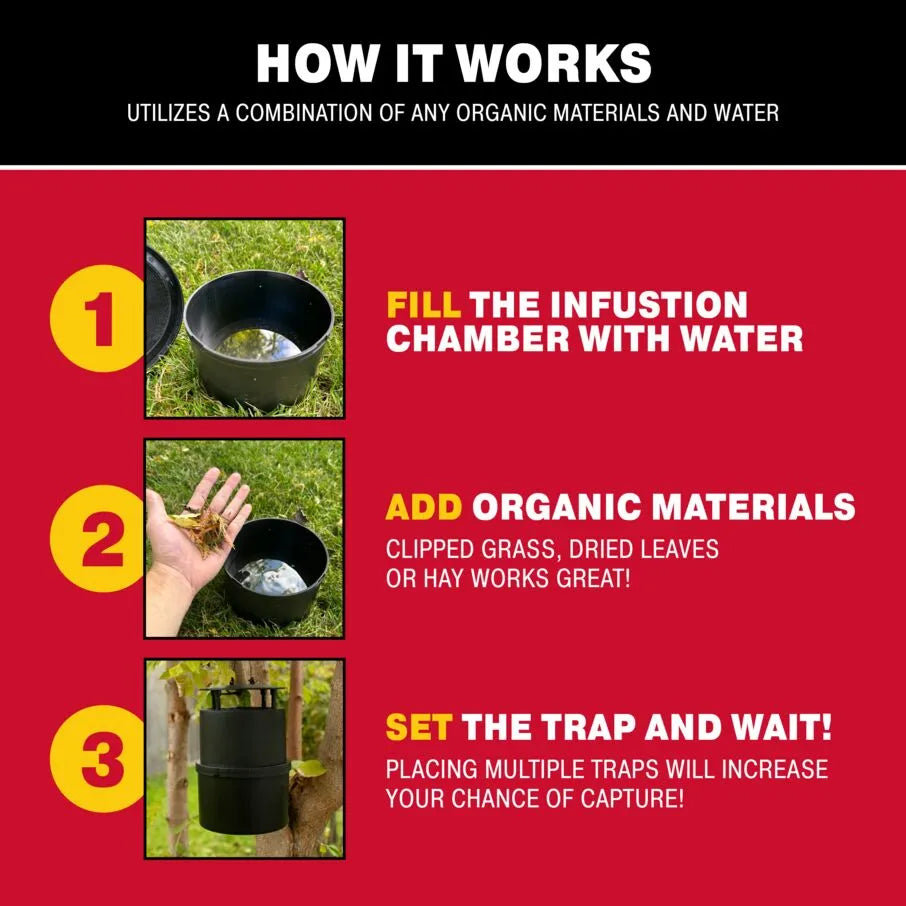 Oasis Ovi-Mini: Water Jar & Glue Mosquito Trap Set – Catchmaster
