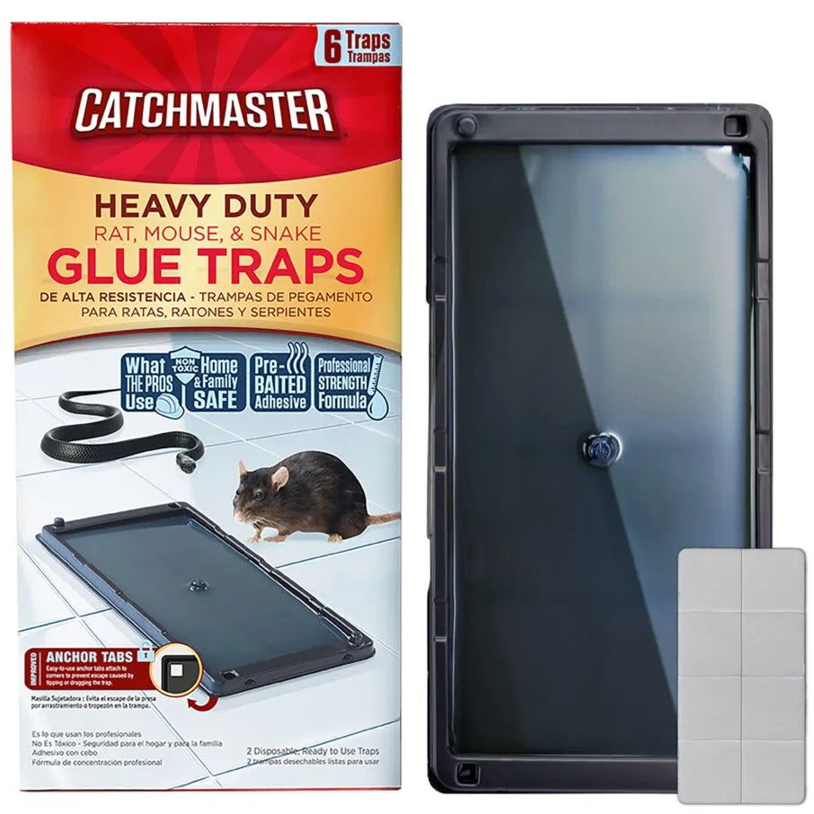 Catchmaster Glue Mouse Traps Indoor for Home 10PK, Bulk Traps for Mice and  Rats, Pre-Baited Adhesive Plastic Trays for Inside House, Snake, Lizard